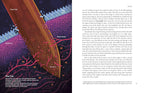 Immune: A Journey Into the Mysterious System That Keeps You Alive