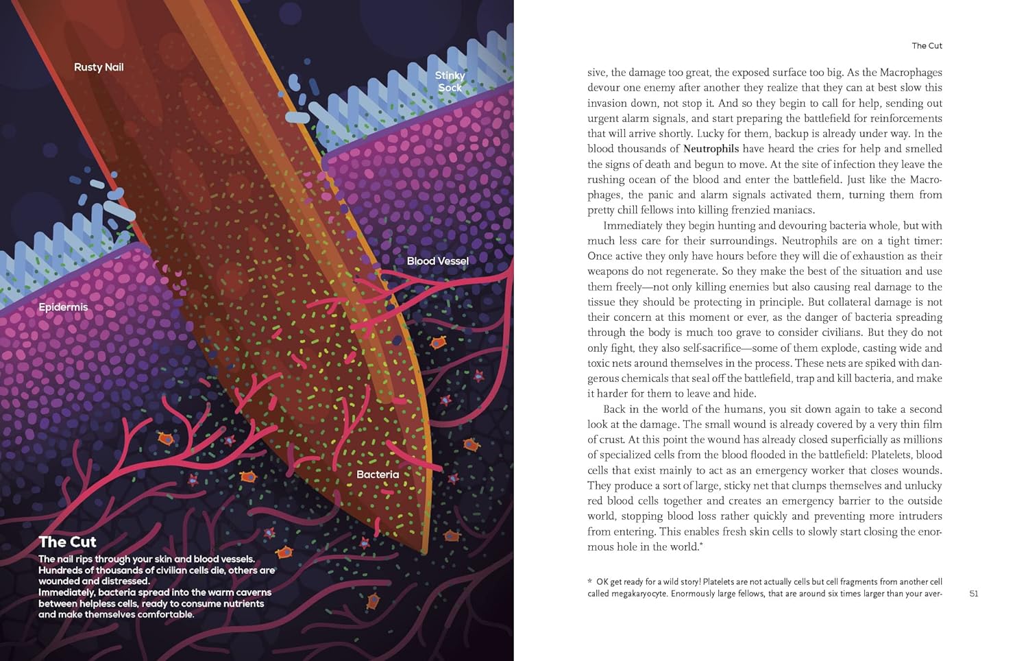 Immune: A Journey Into the Mysterious System That Keeps You Alive