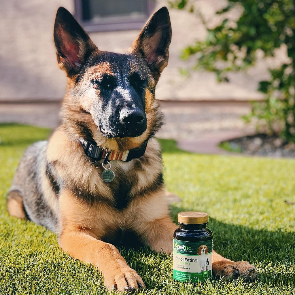 PetNC Natural Care Coprophagia Stool Eating Deterrent Chews for Dogs, 60 Count