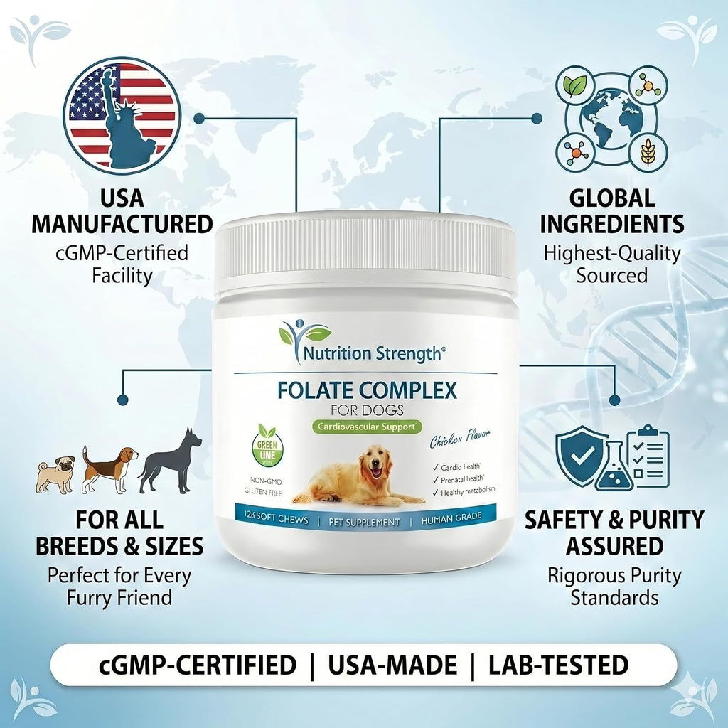 Folate para perros para promover la salud cardiovascular y prenatal, apoyar la síntesis de ADN y el mantenimiento celular, ácido fólico para perros con zinc, biotina, hierro y vitamina B12, 120 masticables blandos
