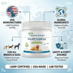 Folate para perros para promover la salud cardiovascular y prenatal, apoyar la síntesis de ADN y el mantenimiento celular, ácido fólico para perros con zinc, biotina, hierro y vitamina B12, 120 masticables blandos