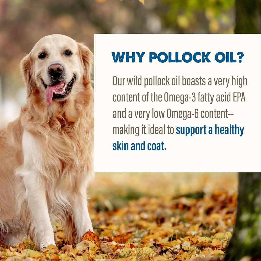 Grizzly Pollock Oil - Suplemento Alimenticio para Perros, 1.89 L (64 oz)