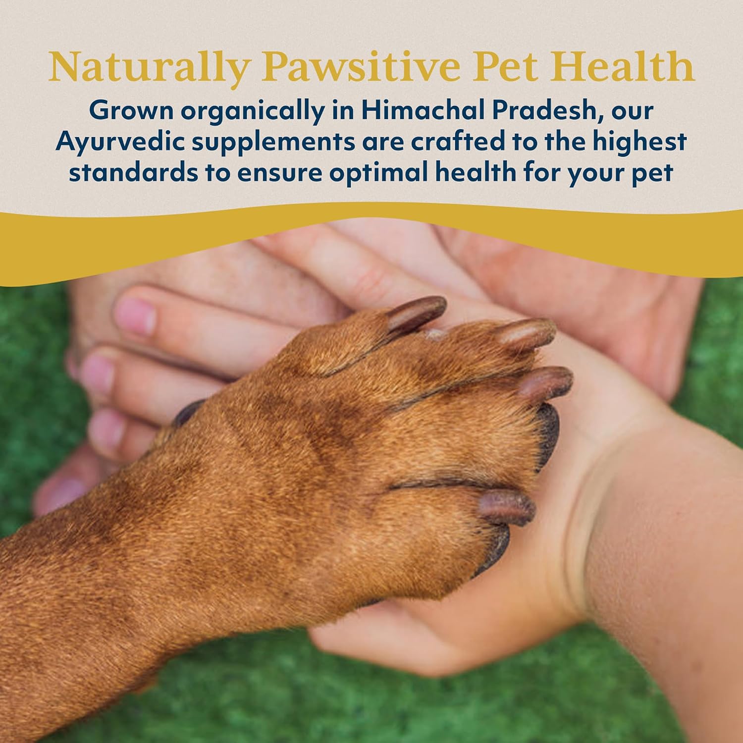 Ayush Pet Ashwagandha Cápsulas para Perros y Gatos, 120 dosis