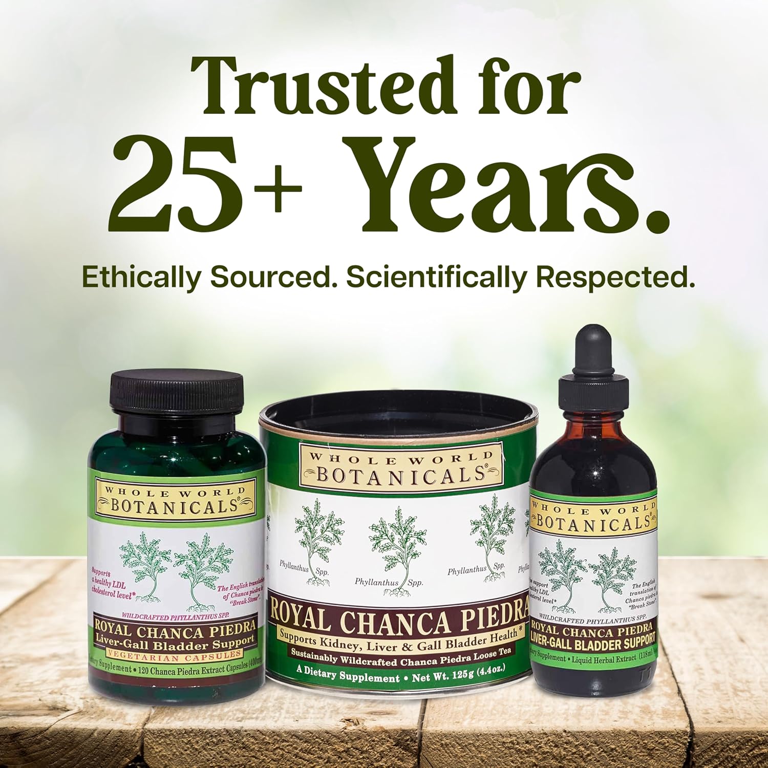 Whole World Botanicals Royal Chanca Piedra – Extracto Líquido 4 oz – Apoyo Hepático y Vesícula