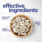 Her Own Irish Sea Moss Cápsulas - Musgo Irlandés con Bardana y Fucus - Apoyo Detox, Inmunidad, Piel Saludable y Metabolismo - 60 Cápsulas