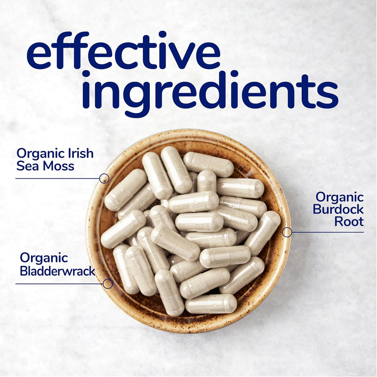 Her Own Irish Sea Moss Cápsulas - Musgo – Raíz de bardana (Arctium lappa): Hierba tradicionalmente utilizada por – Image 5