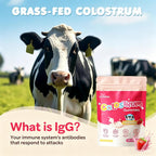 Core Bovine Colostrum Gummies - Gominolas de Calostro Bovino, 1g por Ración, Sabor Fresa, 60 Unidades