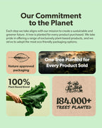 Sapling Complejo B Vegano - Mezcla de Alimentos Integrales con Vitaminas B1, B2, B3, B5, B6, B7, Folato, B12 - 60 Cápsulas