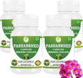 Pashanabheda (Bergenia ligulata) en Cápsulas - Suplemento Ayurvédico 100% Puro, 500 mg, 240 Cápsulas Vegetales