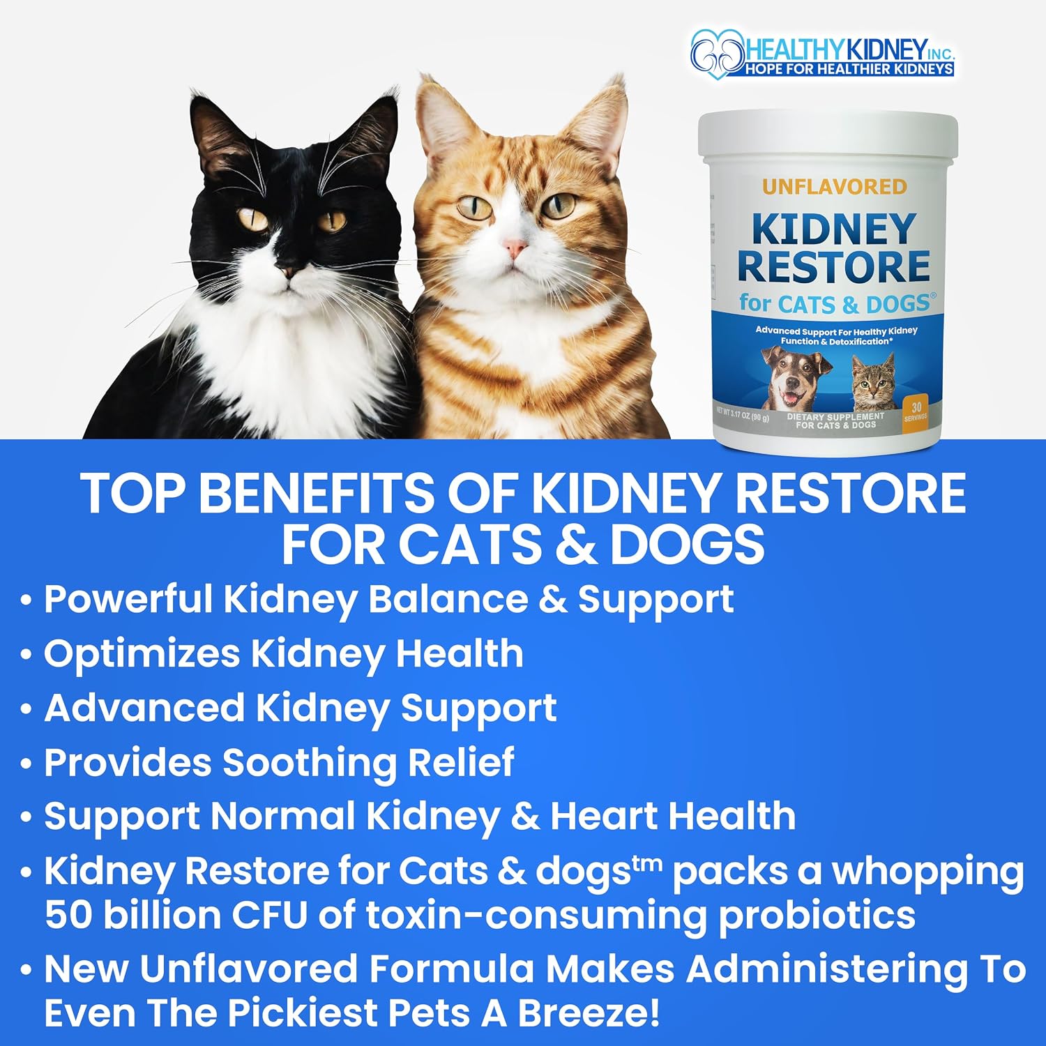 Kidney Restore para Perros y Gatos – Suplemento Renal sin Sabor