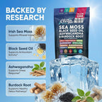 Clean Nutraceuticals Sea Moss Black Seed Oil Ashwagandha Turmeric Bladderwrack Burdock con Vitamina C y D3, 120 cápsulas