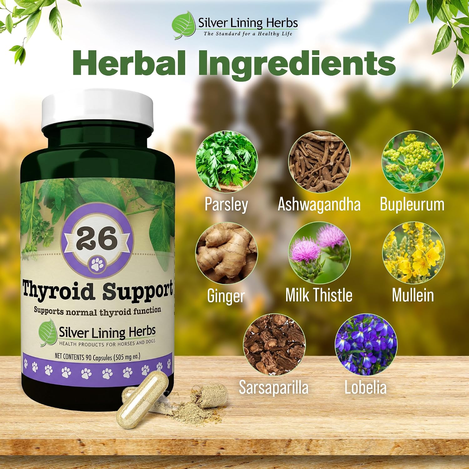 Suplemento Tiroideo Natural para Perros con Perejil, Ashwagandha, Jengibre, Cardo Mariano y Gordolobo - 90 Cápsulas