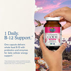 Vitamin Code Raw B-12 Metilcobalamina 1000 mcg - 30 Cápsulas