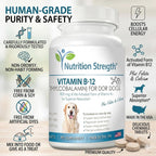 Nutrition Strength Vitamina B12 para Perros con Folato y Calcio - 120 Comprimidos Masticables