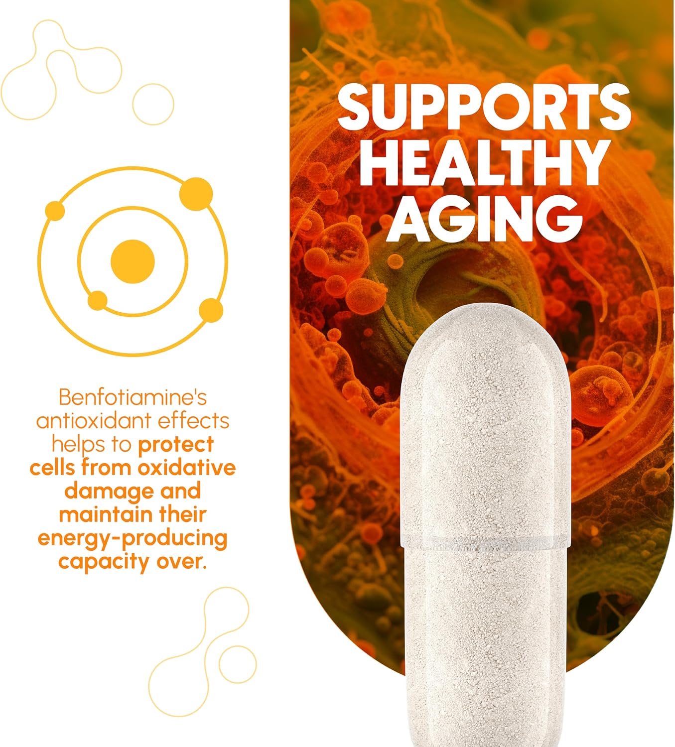 Zenavea Benfotiamina 300 mg – 180 Cápsulas (Suministro para 3 Meses) – Vegano, Sin Gluten, No GMO