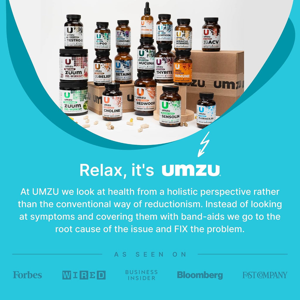 UMZU Cortigon - Suplemento con ginkgo biloba, fosfatidilserina, vitaminas B12 y B6