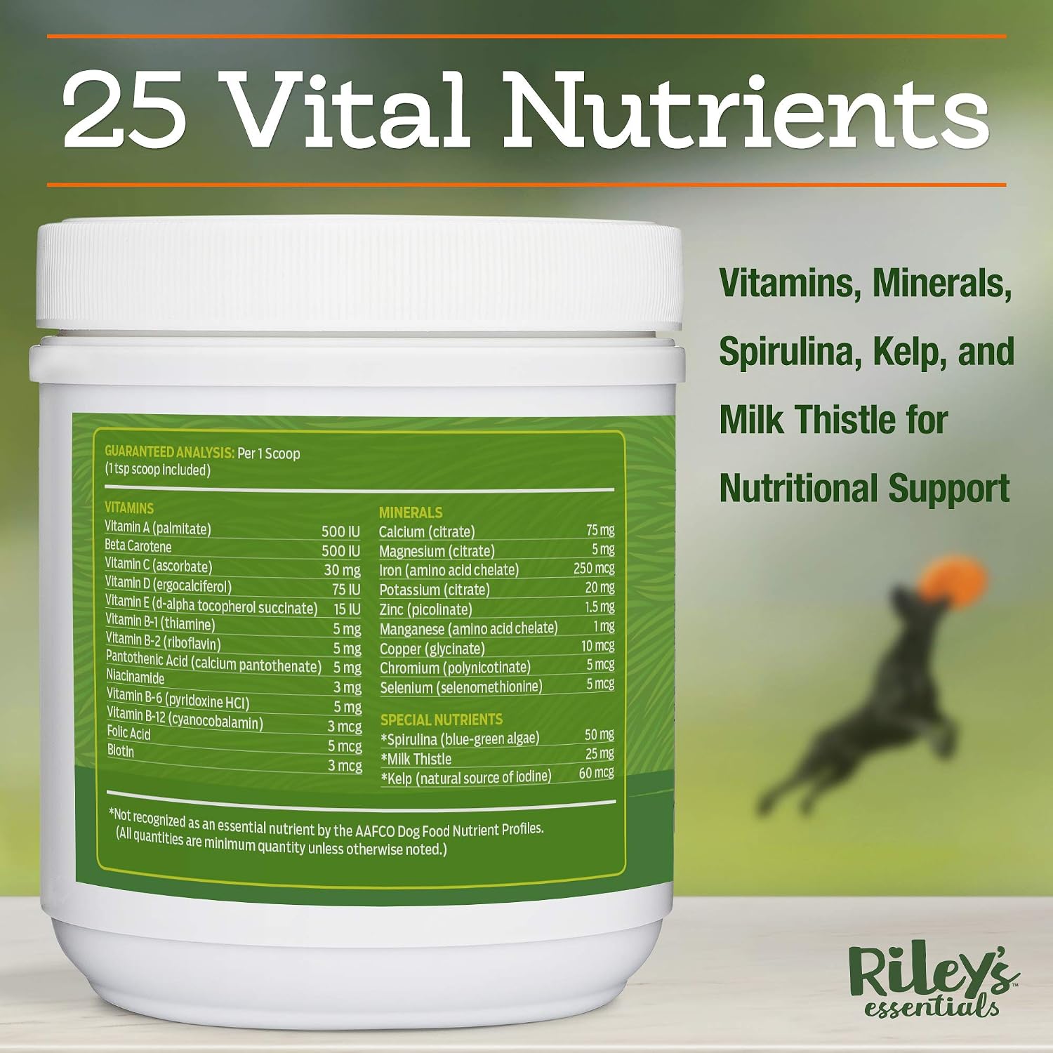 Riley's Multi-Essentials Multivitamínico para Perros - 226g en Polvo