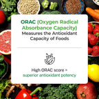 Paradise ORAC Energy Greens - Extracto de Superalimentos Verdes, 60 Servicios