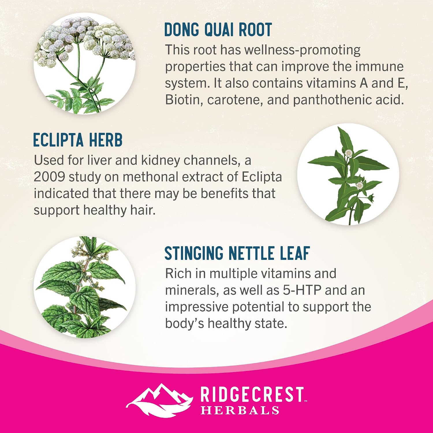 RidgeCrest Herbals Hair ReVive - Suplemento Capilar con Biotina, Vitamina C, Zinc y Cobre (120 Cápsulas, 30 Días)