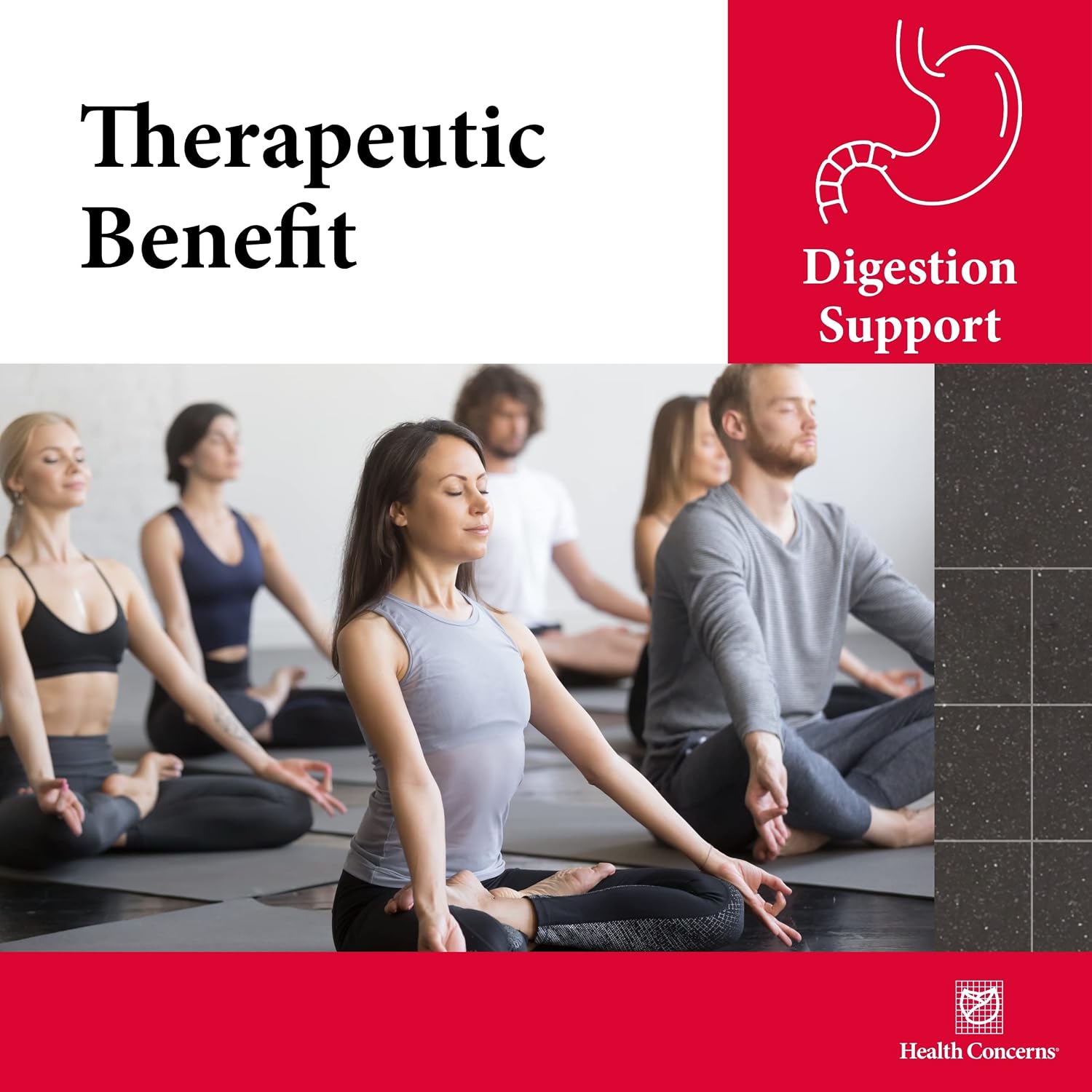 Health Concerns Stomach Caps – Apoyo Digestivo con Jengibre y Corteza de Magnolio – 90 Cápsulas