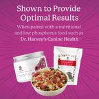 Dr. Harvey's Kidney Health - Suplemento de Apoyo Renal para Perros (113 g)