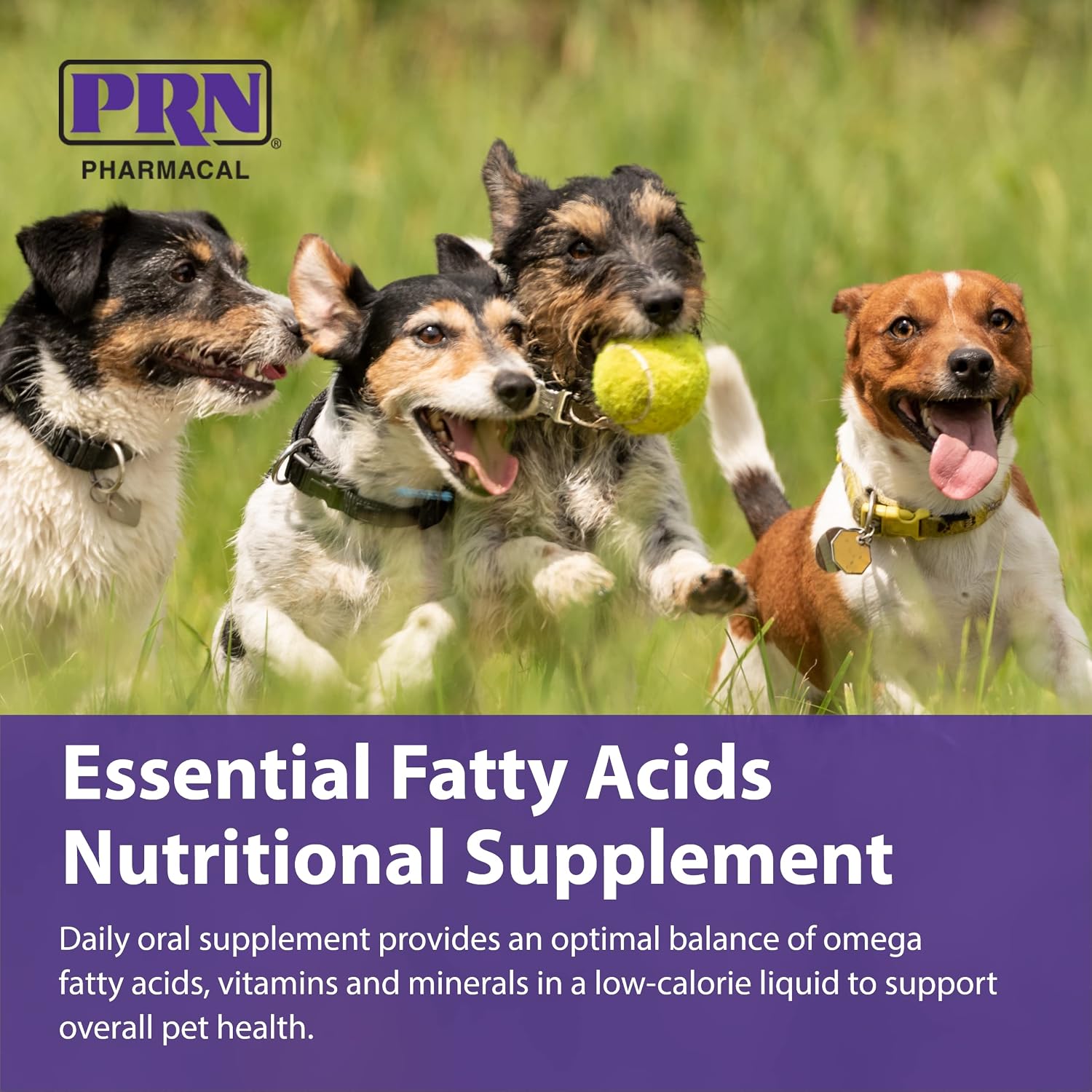 PRN Pharmacal OPTIMA 365 - Essential Fatty Acid Nutritional Supplement for Dogs and Cats - With Omega-3, Omega-6, Omega-9, and Other Vitamins and Minerals to Support Overall Pet Health - 473 ml