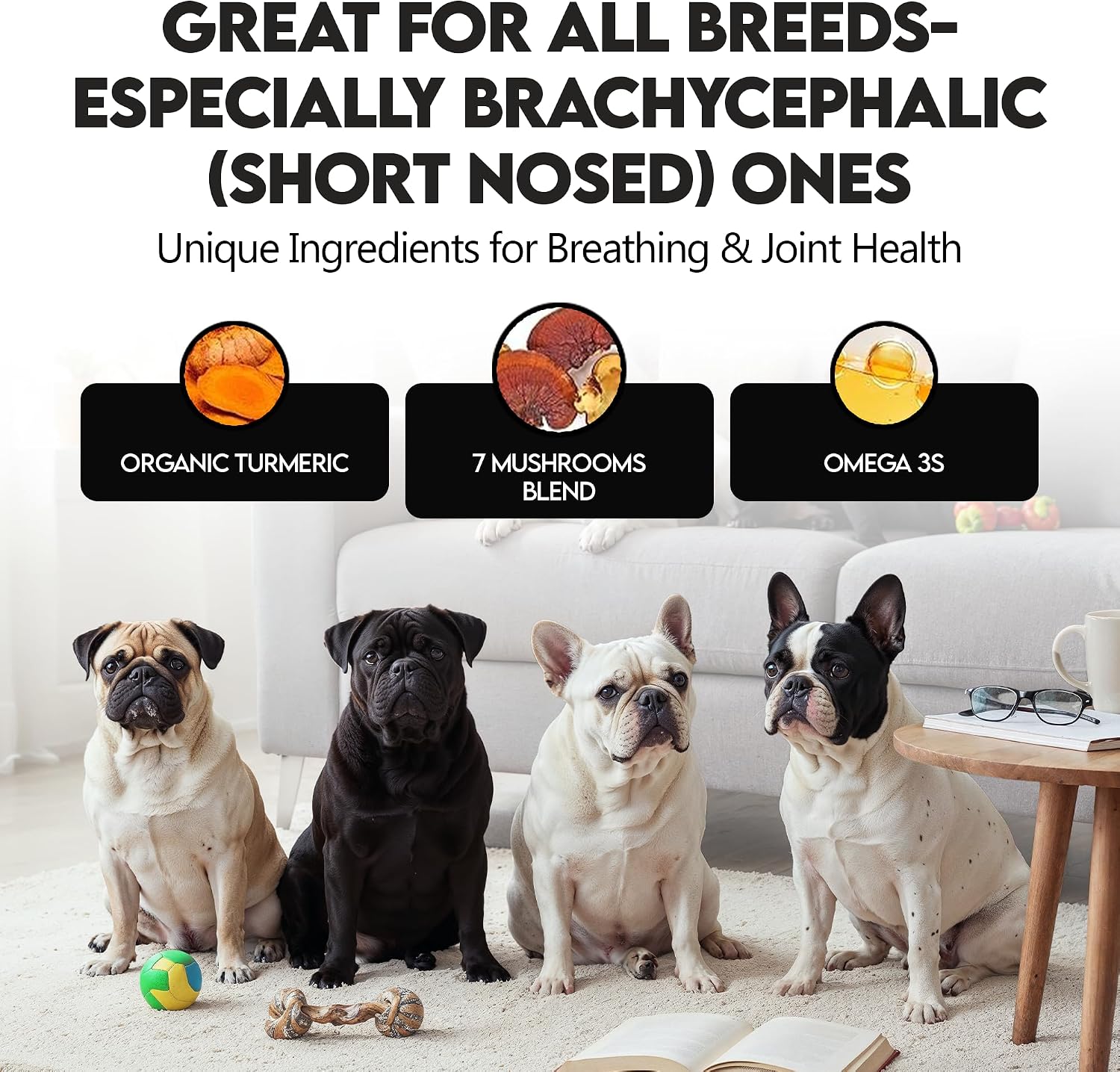 Frenchies vs Mushrooms - Turkey Tail Mushroom for Dogs, Omega-3 & Turmeric | Immune support Mushroom Supplement For Dogs. Helps with digestion, allergies, longevity, lumps & bumps. Frenchie optimized.
