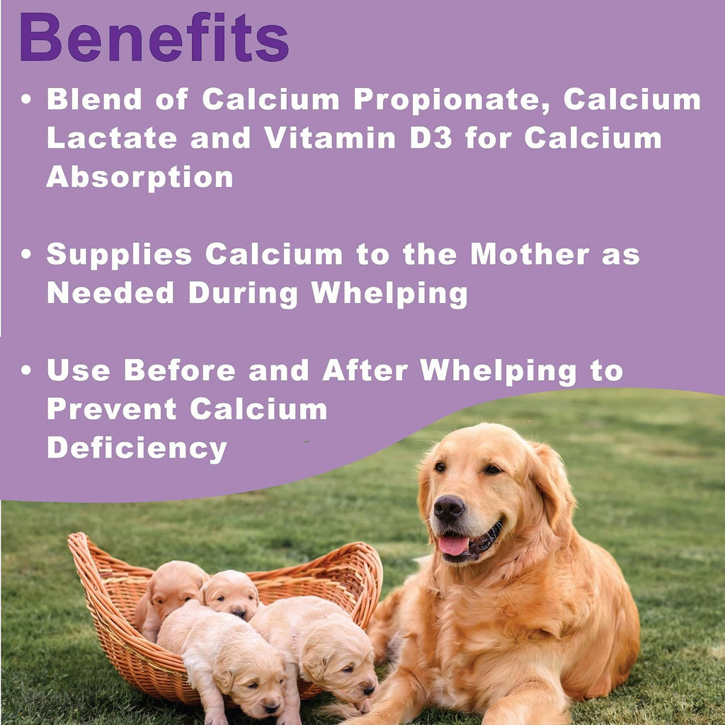 Pasta de Calcio para Perras en Lactancia con Vitamina D3 - Dogzymes