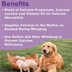 Pasta de Calcio para Perras en Lactancia con Vitamina D3 - Dogzymes