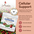 Blushwood Berry Daily Cell Defense - Polvo de apoyo inmunológico y celular con Soursop, Kakadu Plum, Granada y Arándano - 180g