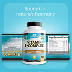 NaturaLife Labs Complejo B – Todas las Vitaminas B con B2, B6, B9 y B12 (Metilcobalamina) Activas, más B1, B3, B5, B7 y Vitamina C – 100 Cápsulas