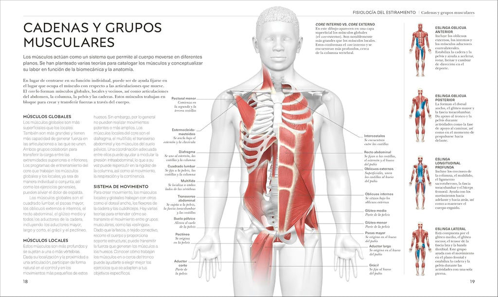 Estiramientos (Science of Stretch) (The Science of Fitness) (Spanish Edition)