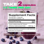 Extracto de Aronia Berry 20:1 – 120 Cápsulas de 500 mg