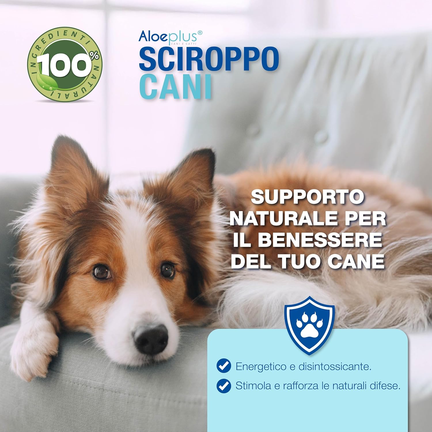 Aloeplus Jarabe para Perros 250ml - Suplemento Alimenticio con Aloe Arborescens Orgánico