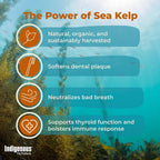 Indigenous Pet Organic Sea Kelp Flakes for Dogs – 72 g (2.54 oz)