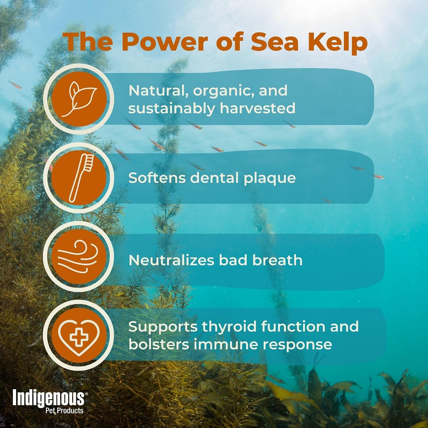 Indigenous Pet Organic Sea Kelp Flakes for Dogs – 72 g (2.54 oz)