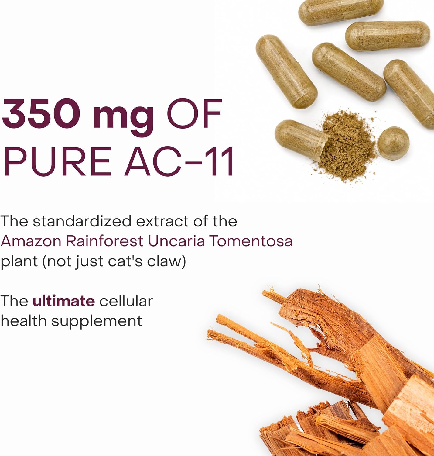 Healthycell Suplemento de Longitud de Telómeros – 30 Cápsulas
