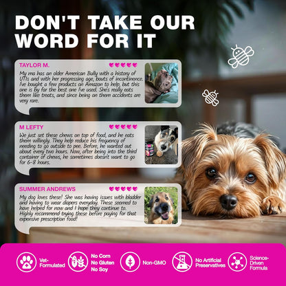 Suplemento de arándano rojo para perros – – Otros ingredientes naturales: La fórmula incluye excipientes seguros – Image 3