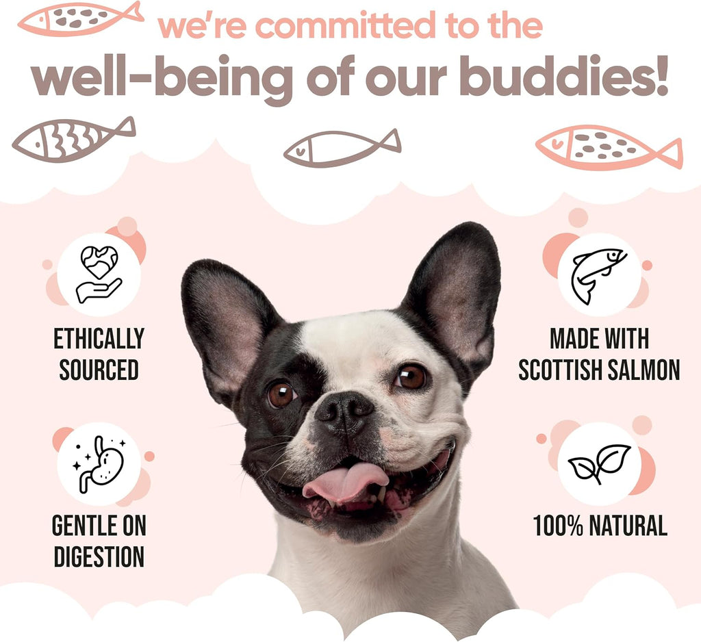 Buddycare Aceite de Salmón Escocés para Perros y Gatos (500 ml)