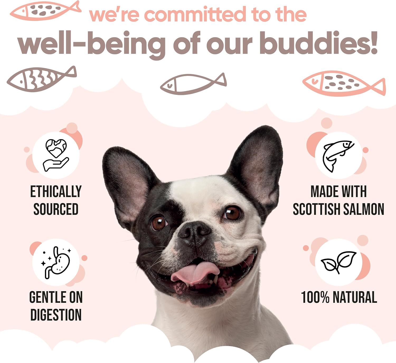 Buddycare Aceite de Salmón Escocés para Perros y Gatos (500 ml)