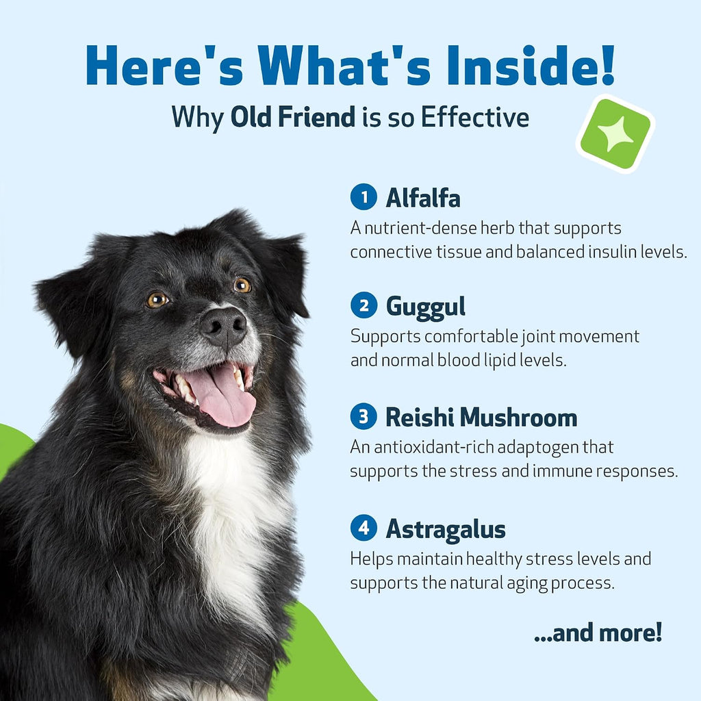 Pet Wellbeing Old Friend para Perros Senior - Suplemento Herbal para la Salud Inmunológica, Movilidad Articular y Niveles de Energía - 59 ml