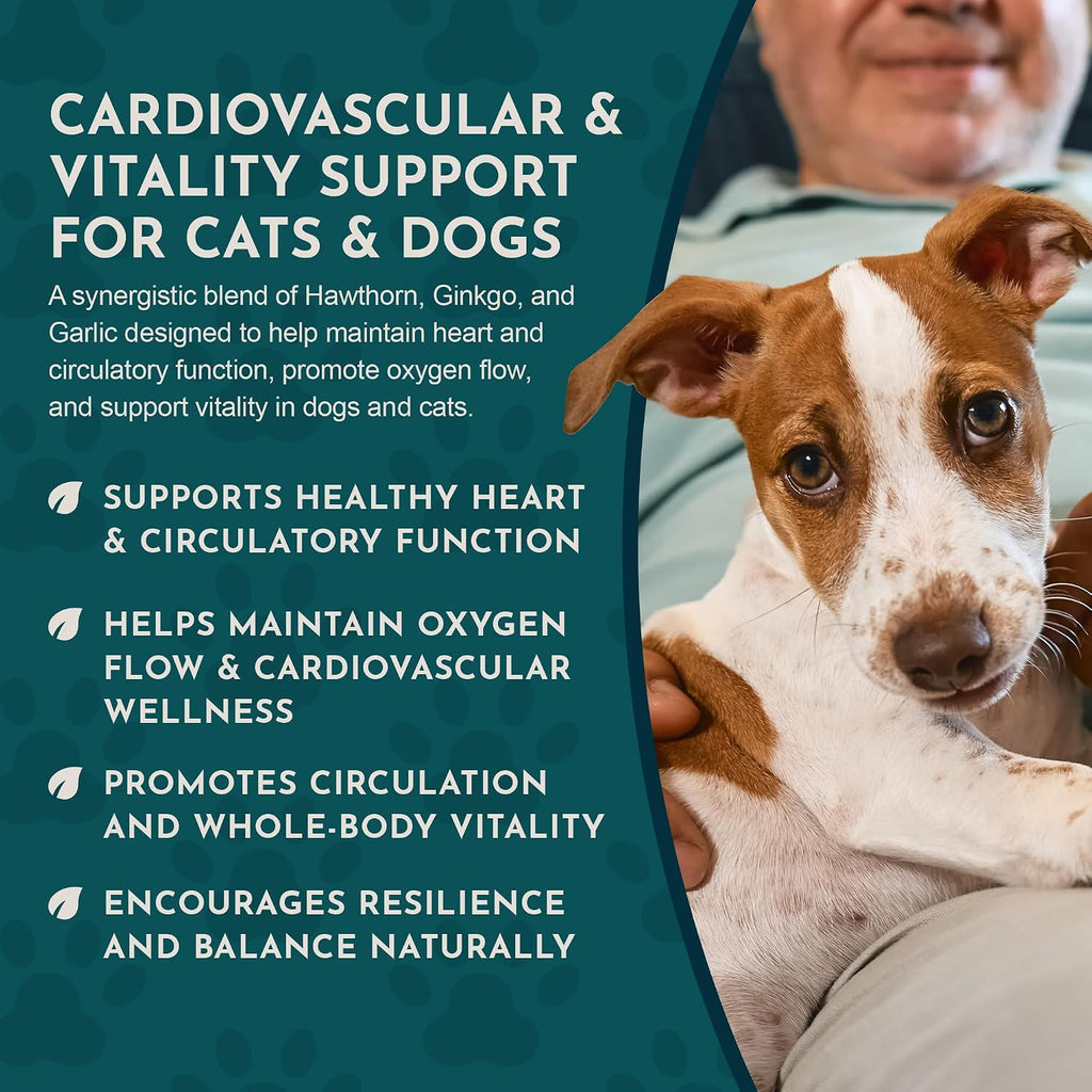 Animal Essentials Heart Health para Perros y Gatos - Suplemento Cardiovascular, Espino Blanco Orgánico, Tintura Herbal - 60 ml