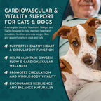 Animal Essentials Heart Health para Perros y Gatos - Suplemento Cardiovascular, Espino Blanco Orgánico, Tintura Herbal - 60 ml