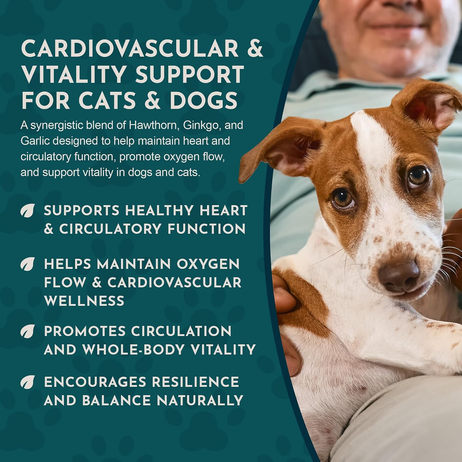 Animal Essentials Heart Health para Perros y Gatos - Suplemento Cardiovascular, Espino Blanco Orgánico, Tintura Herbal - 60 ml