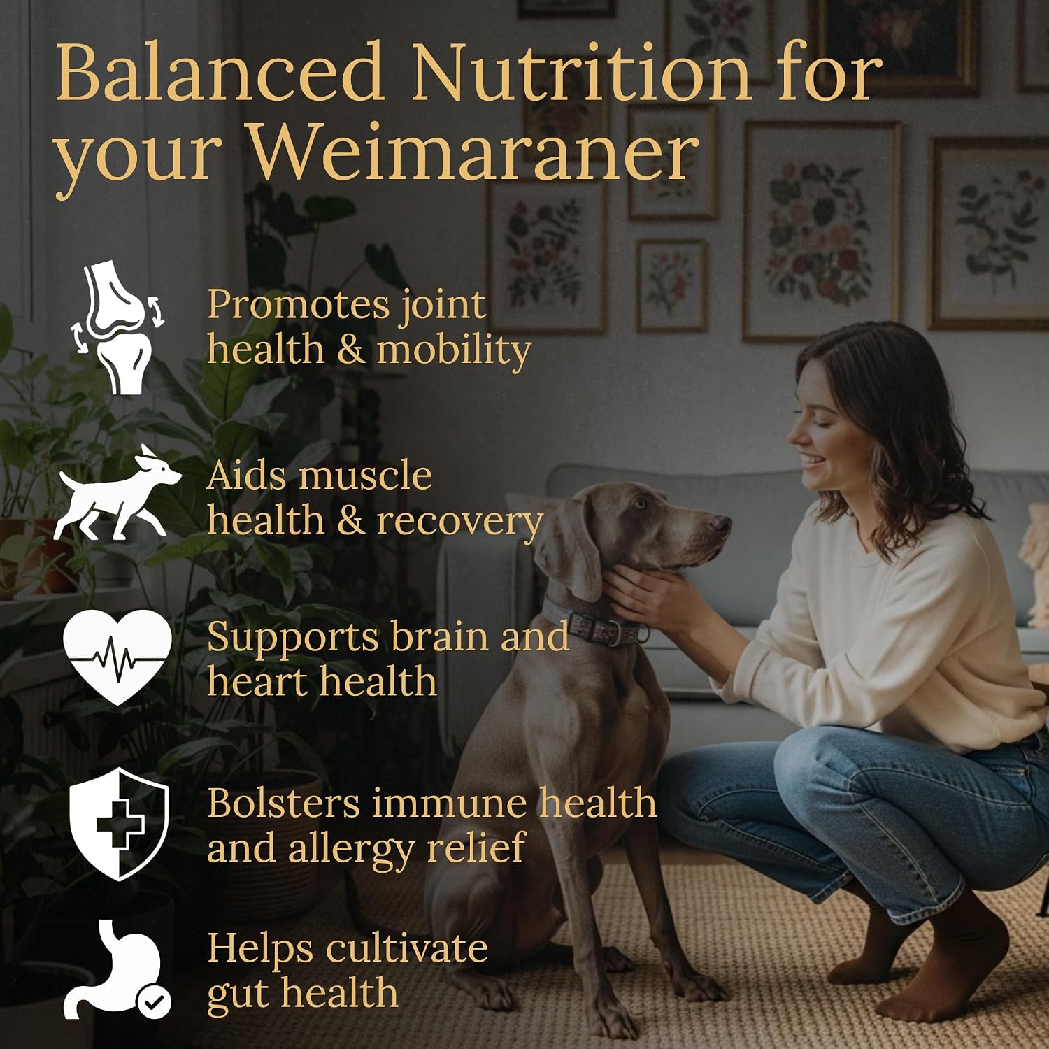 Prestige Breed Multivitamínicos para Weimaraner, 90 Comprimidos, Fabricado en USA con auténtico Bacon