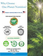One Planet Nutrition Nano Vitamina C 250 mg Cápsulas Vegetales (240 Servicios)