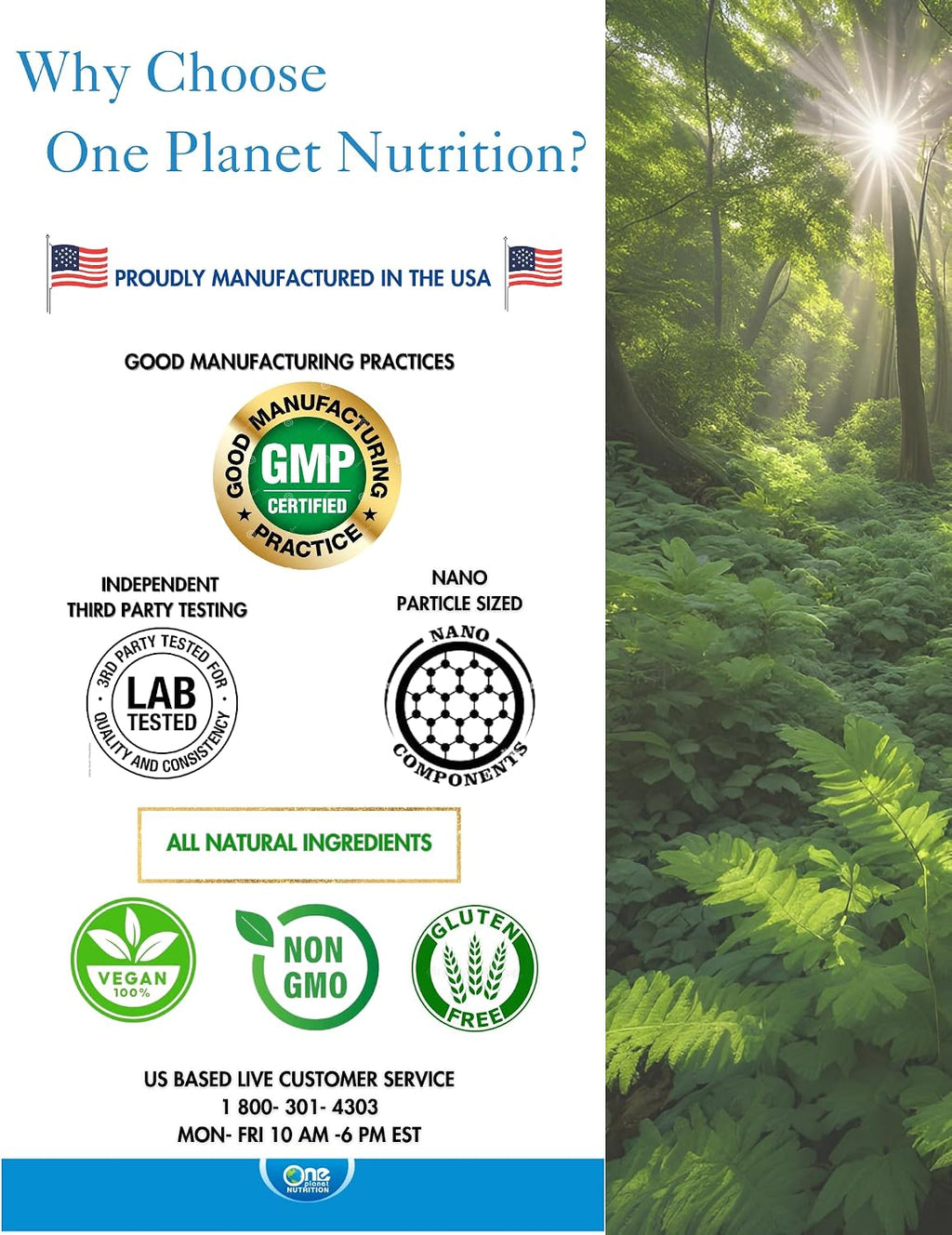 One Planet Nutrition Nano Amla Powder - 227 g (227 raciones), Extracto de Amla, Rico en Vitamina C