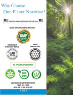 One Planet Nutrition Nano Amla Powder - 227 g (227 raciones), Extracto de Amla, Rico en Vitamina C