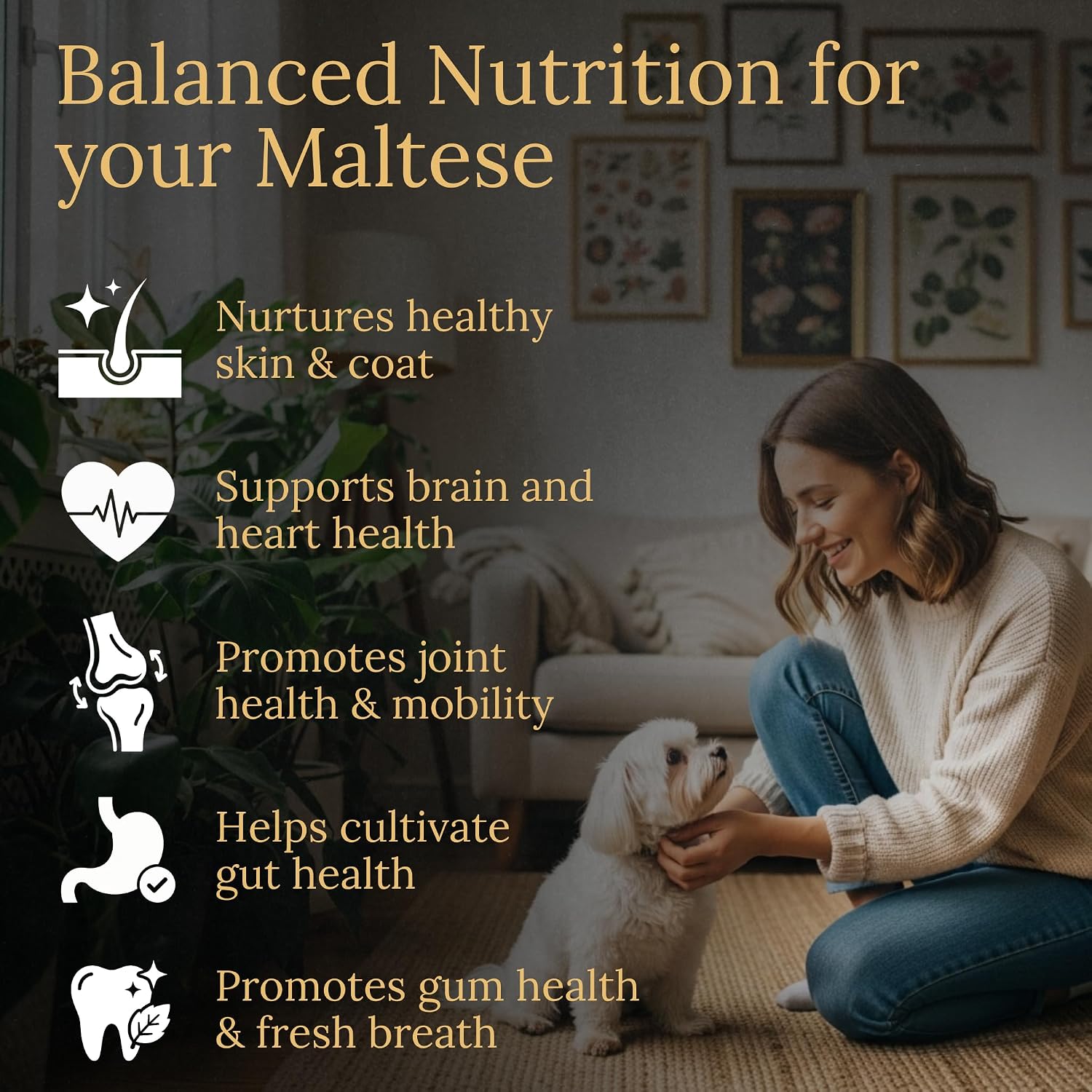 Prestige Breed Multivitaminas, Nutrición Equilibrada para tu Maltés, 90 masticables con Tocino Real