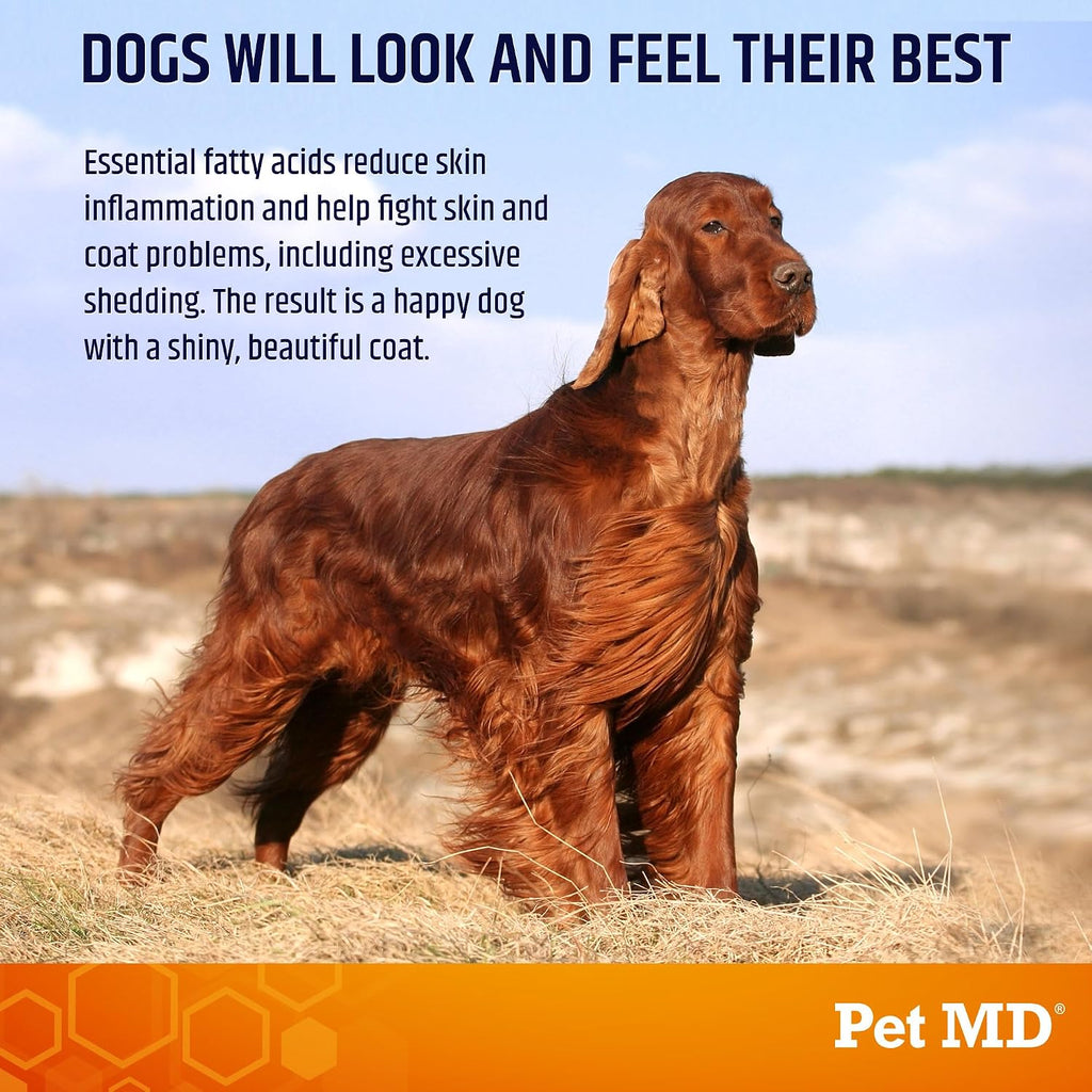 Pet MD Omega Bites de Salmón para Perros - Suplemento de Omega 3 y 6 con DHA y EPA - 60 Masticables